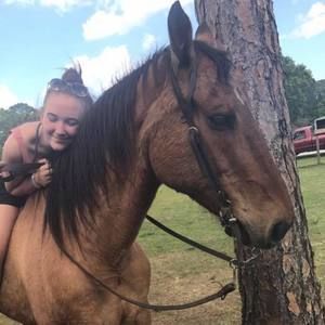 Meet your Posher, Harley